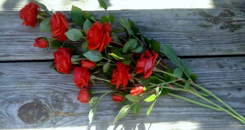 букет красных роз