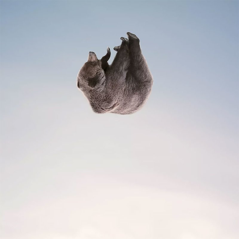 Фотограф создает сюрреалистичные работы, критикующие отношение человека к животным