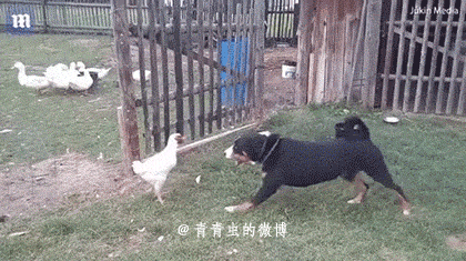 Ты на кого наехал?