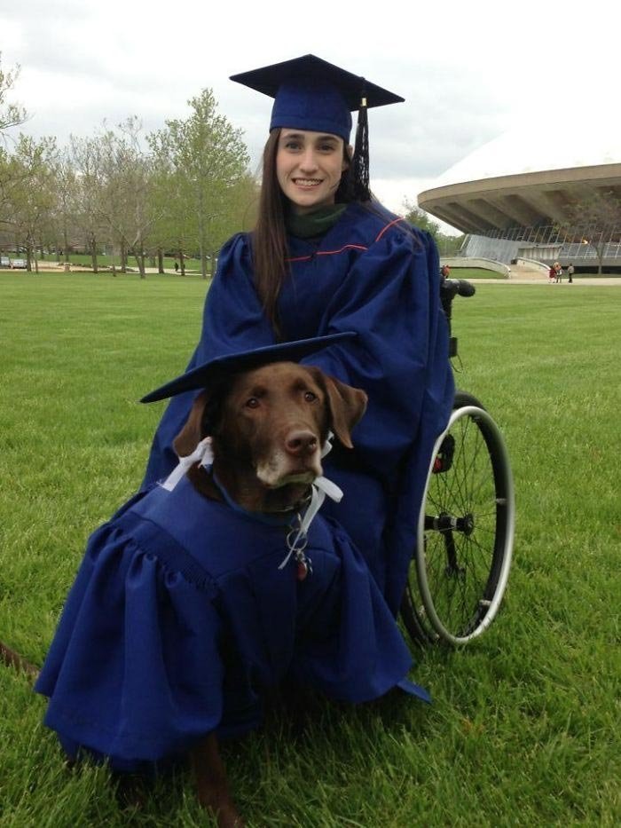 Университет штата Иллинойс вручил учёную степень служебной собаке, которая посещала занятия вместе со своей хозяйкой