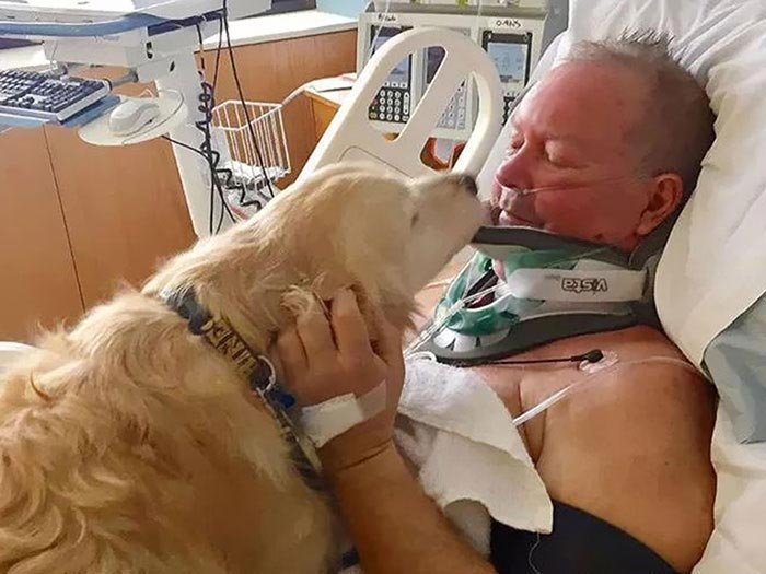 Собака спасла жизнь своему владельцу, пролежав на нём 24 часа на морозе