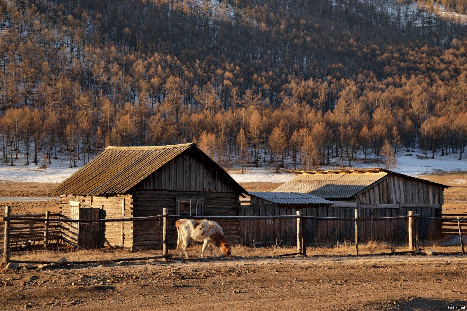 Жизнь в таежной глубинке. Таежные деревни Забайкалья. Посёлок Таёжный Тайга. Сибирь Тайга глухомань. Таежный Иркутская область.