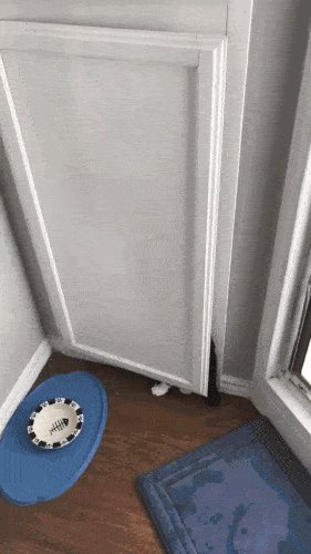 Внезапно застукали