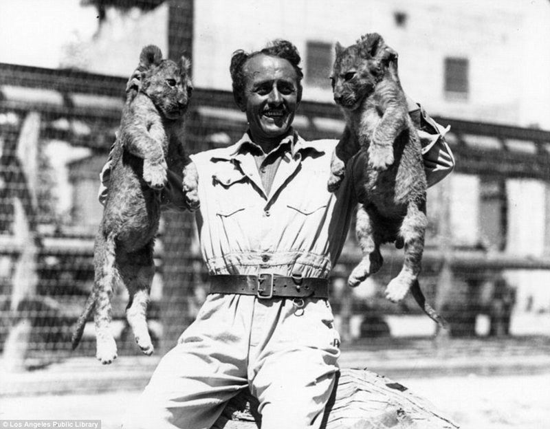 Знаменитая "голливудская львиная ферма": архивные фотографии 1925 - 1942 гг