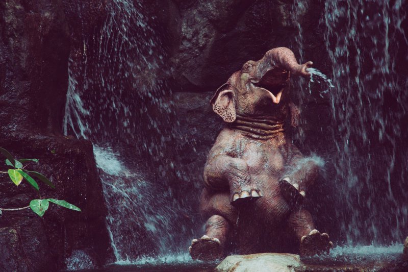 Слоненок в водопаде
