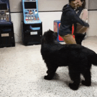 Давайте обнимемся