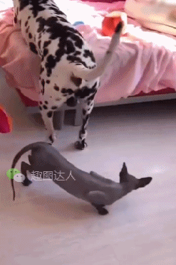 Увидел кое-что интересненькое