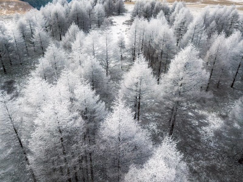 Сказочно красивая зима в Японии