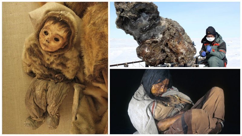 Жуткие вещи, которые были найдены во льдах Мамонты, интересное, мумии, находки, палеонтология, подо льдом, фото