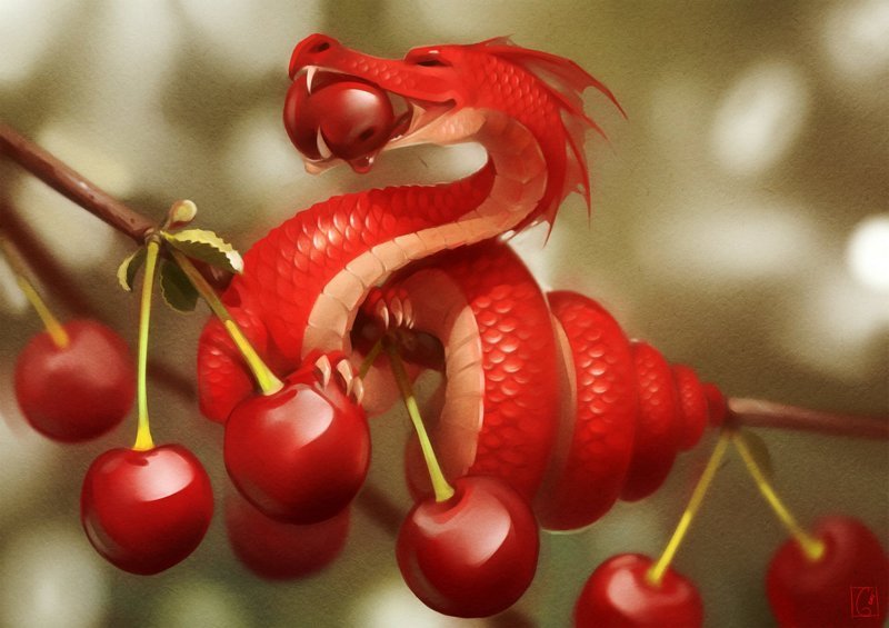 Cherry dragon