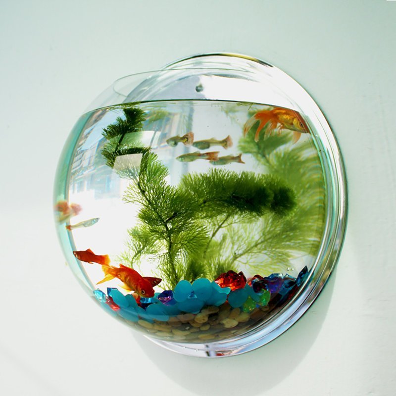 7. ​​Прозрачный настенный аквариум для рыбок или растений