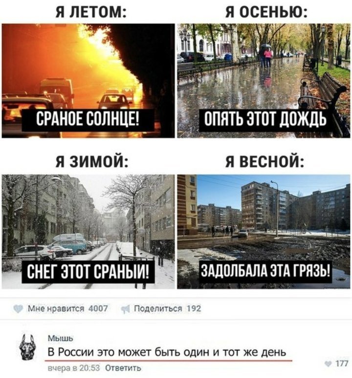 В России климатический апокалипсис, а в магазинах все меньше гамаш