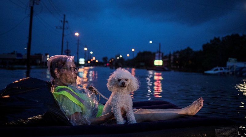 Женщина с пуделем во время наводнения после тропического шторма Харви в Хьюстоне, штат Техас, август 2017 года