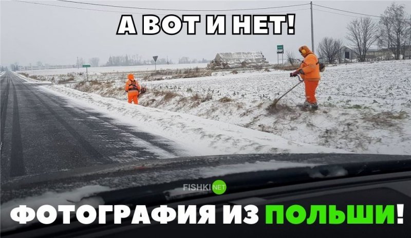 А вот и нет! Фотография из Польши!