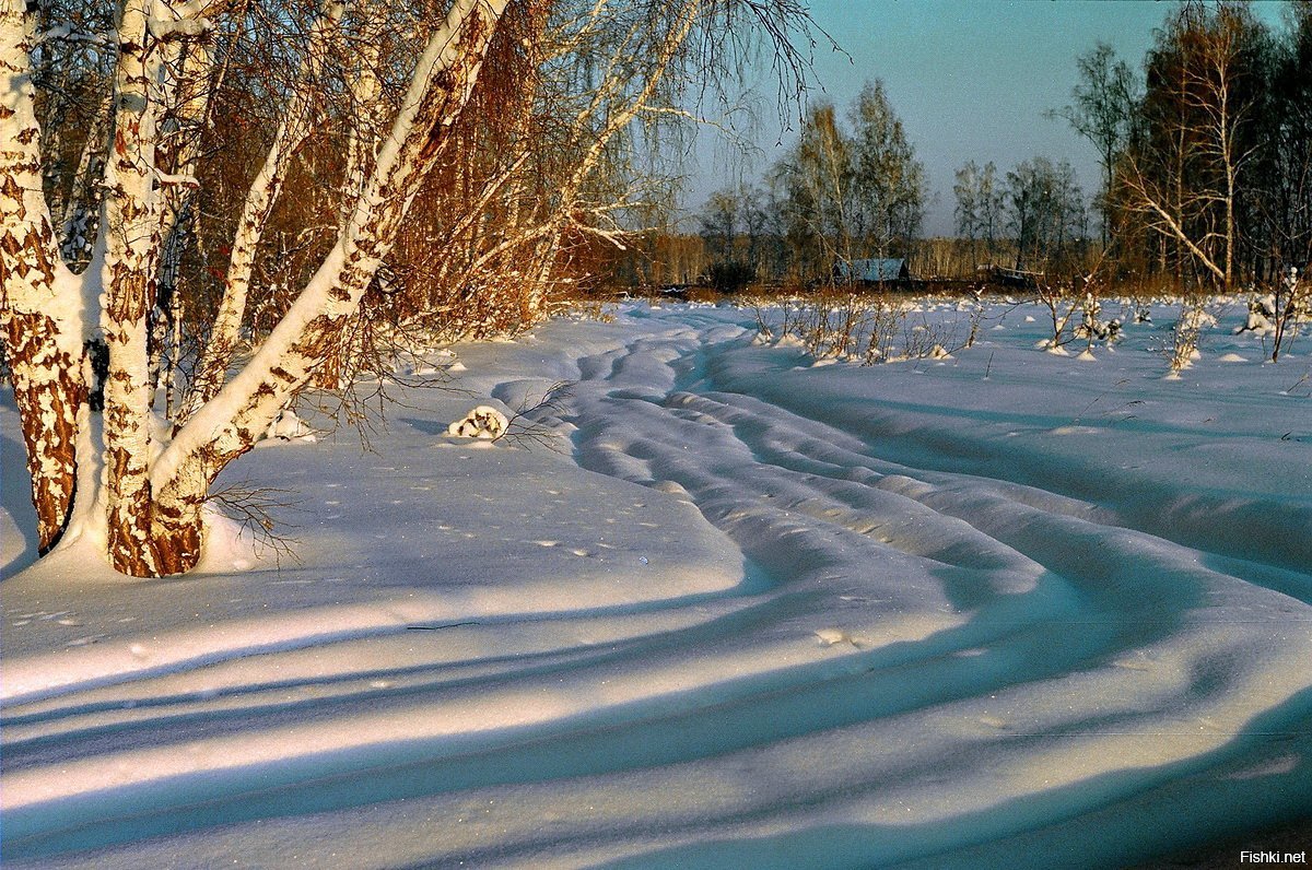 Великолепными коврами снег лежит. Вьюга злилась фото. Вечор ты помнишь вьюга злилась картинки. Картинка февраль метель для детей. Февраль суров картинки.