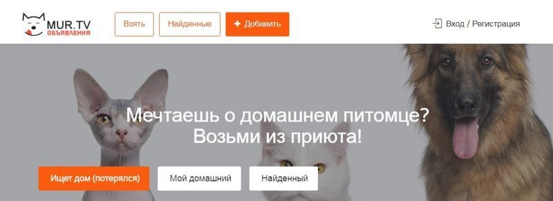 Кличка домашнего питомца на госуслугах. Кличка домашнего питомца госуслуги.