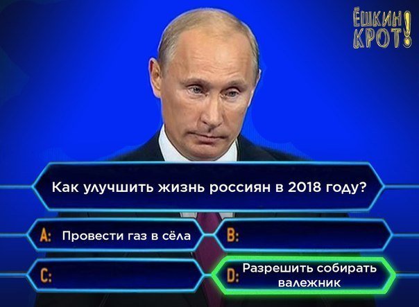 Держдума РФ дозволила росіянам безкоштовно збирати хмиз: "Просто радіє серце" - Цензор.НЕТ 1419