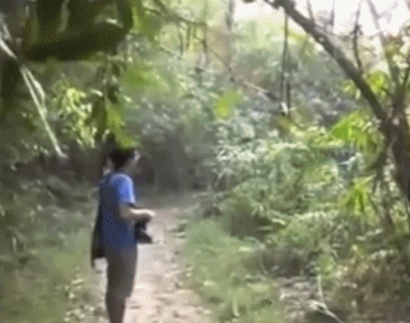 Стальные нервы