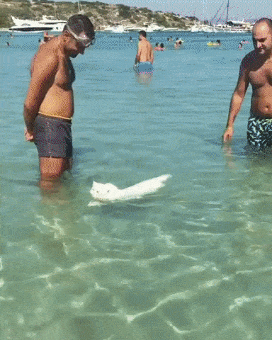 Бери от жизни все