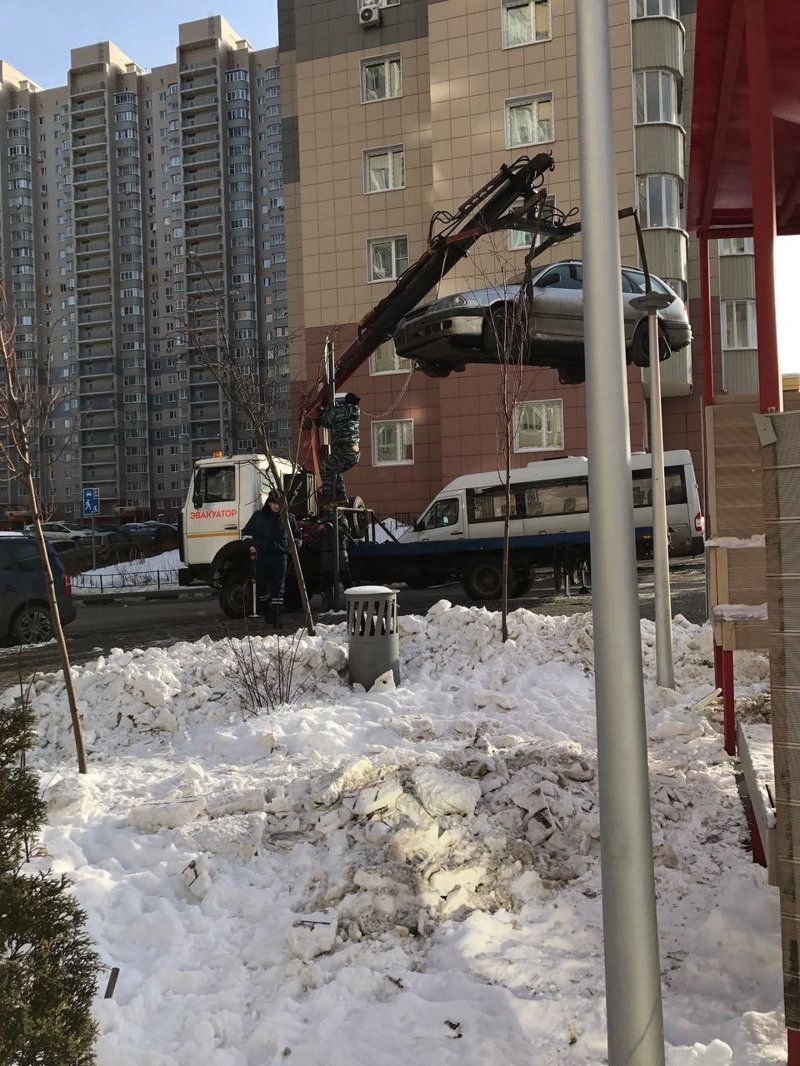 На каждого хитреца найдется свой мудрец