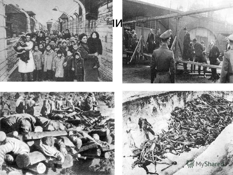 27 января 1945 г. 73 года назад Советские войска освободили узников Освенцима