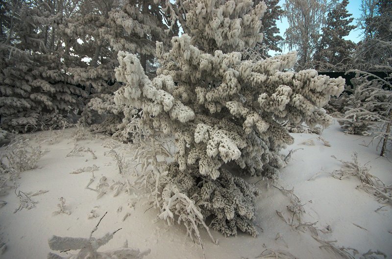 Сибирские морозы. Фотографии с берега Енисея