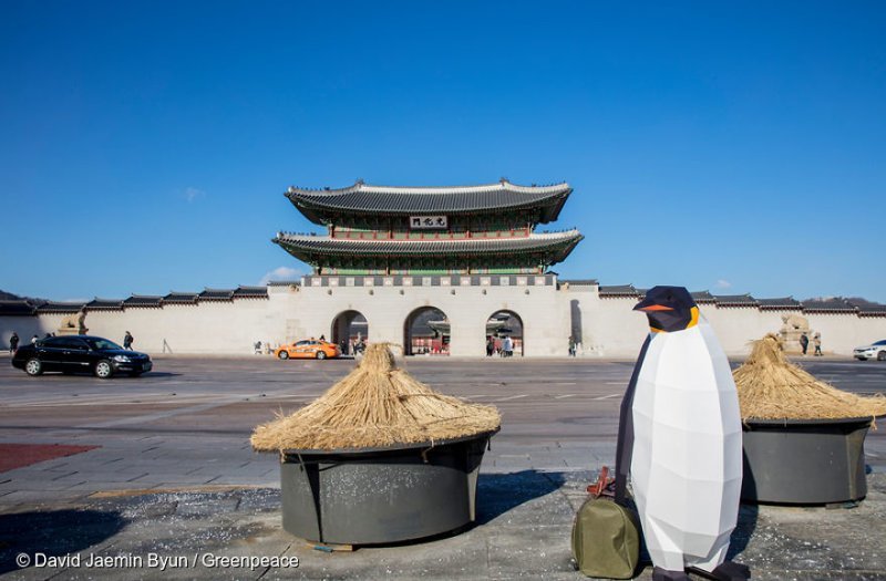Бумажный пингвин путешествует по всему миру в поисках дома