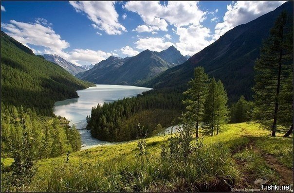 Кучерлинское озеро, Алтай 