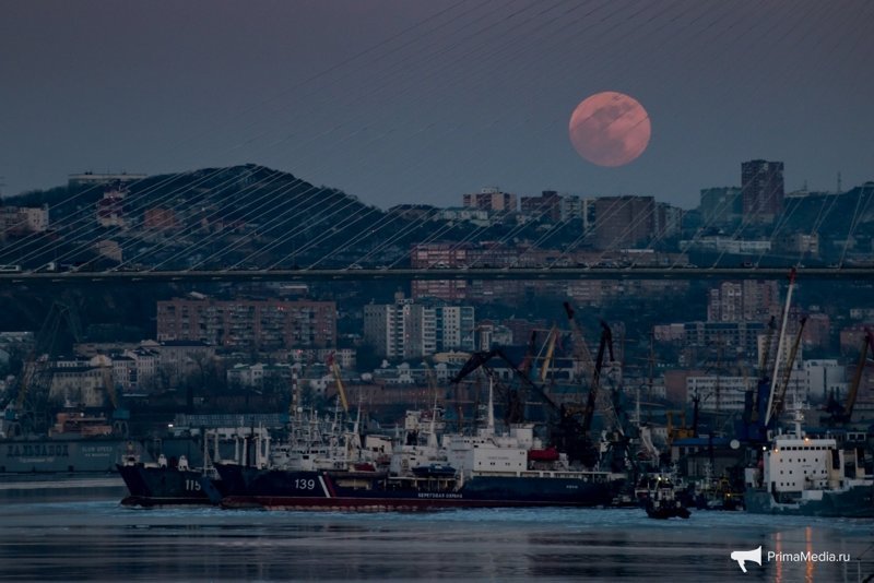 Жители Владивостока наблюдали суперлуние, полнолуние и затмение одновременно