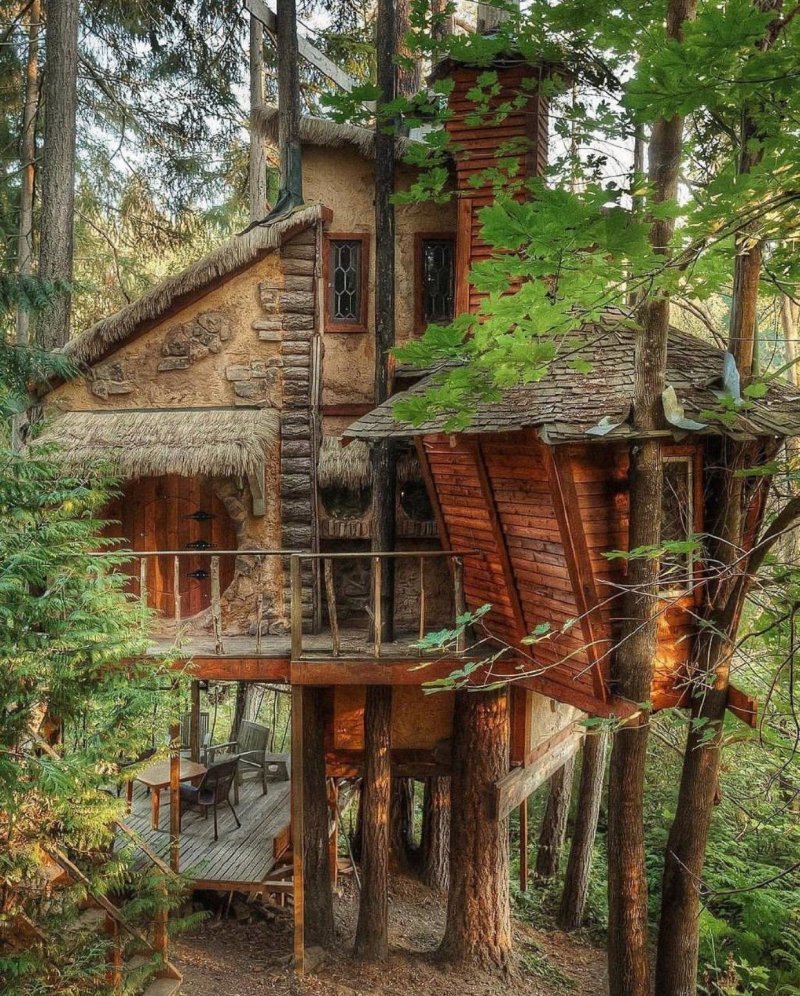 Настоящий дом на дереве