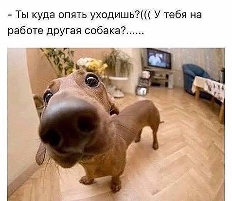 Юмор из интернета