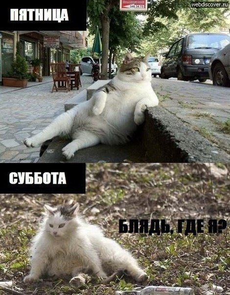 Юмор из интернета