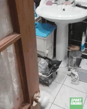 Когда ехать куда-то лень, а порыбачить хочется