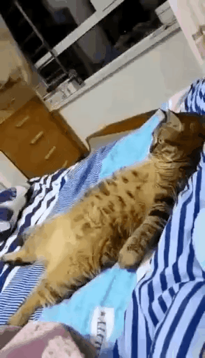 Планы на выходные