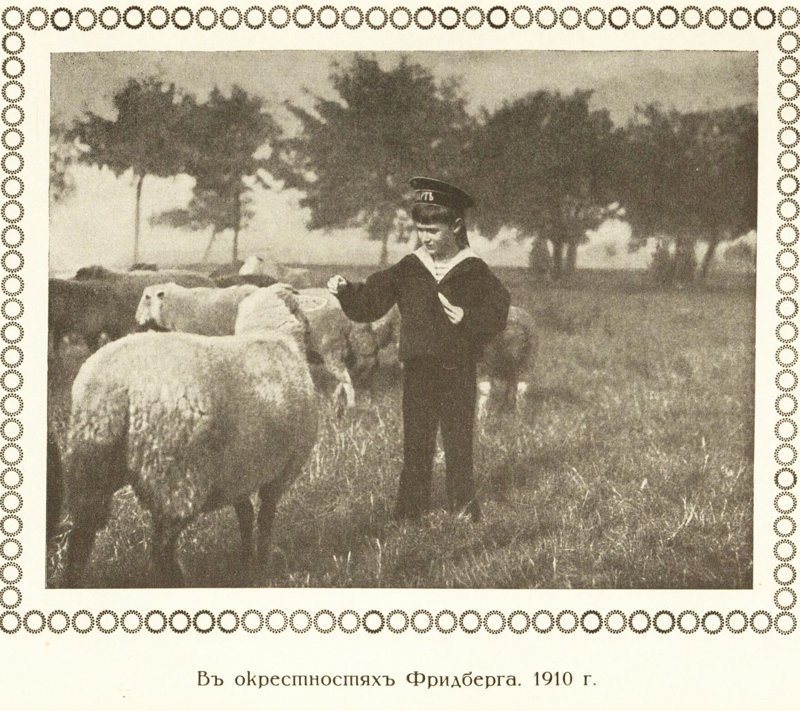 1913. Альбом-книжка, содержащий снимки из жизни наследника цесаревича и великого князя