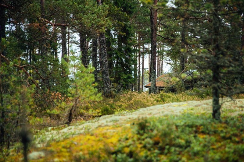 Летом на Балтике откроют остров-курорт для феминисток