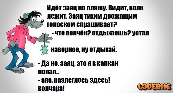 Ну-погоди!: истории из жизни, советы, новости, юмор и картинки — Все посты, страница 7 | Пикабу