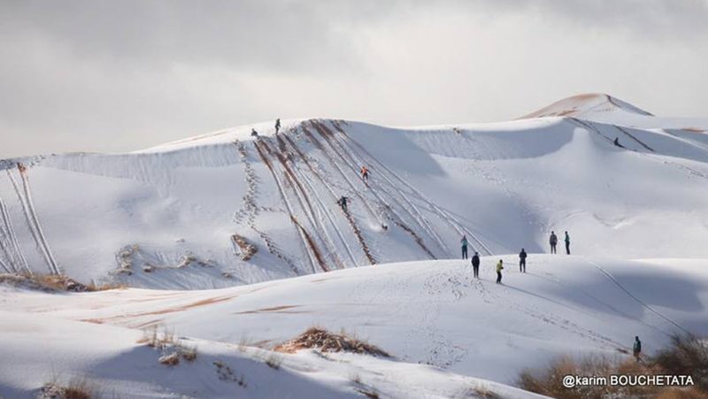 Сахара как Москва: в пустыне опять выпал снег