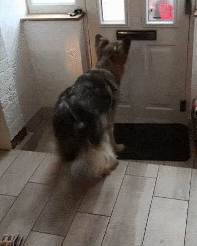 Почта пришла