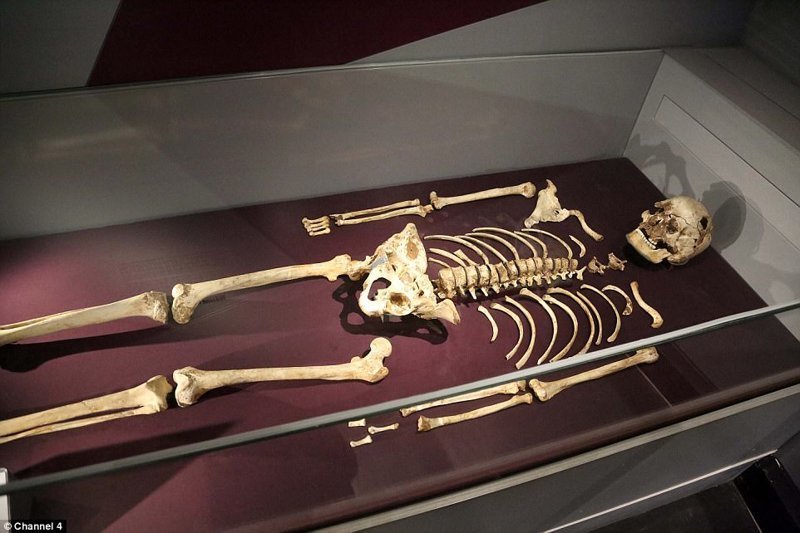 Для моделирования лица первого британца, ученые использовали кости Чеддарского человека, умершего 10 000 лет назад