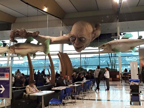 В аэропорту Новой Зеландии будьте готовы к чему угодно