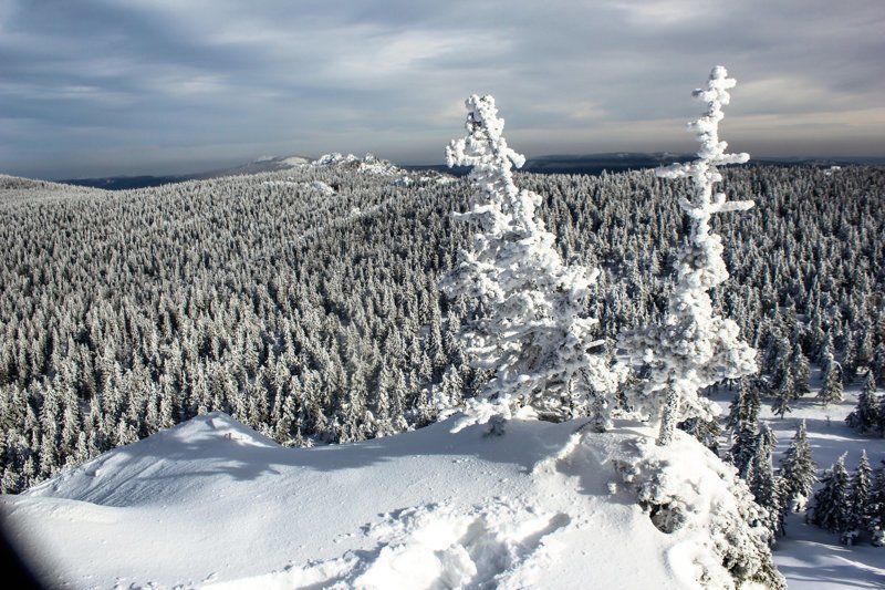 Январь в национальном парке «Таганай» в Челябинской области. Фоторепортаж