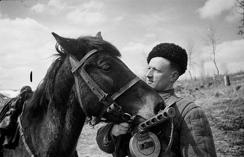 Боец 8-й гвардейской кавалерийской дивизии с конем на Воронежском фронте. Время съемки: март 1943