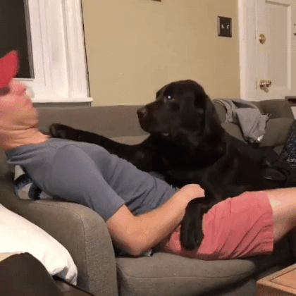 Любитель обнимашек