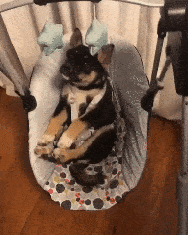 Детские качели