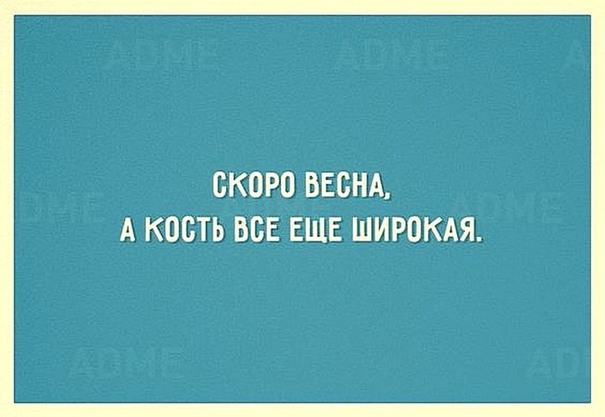 55 Пятничных ФиШуток