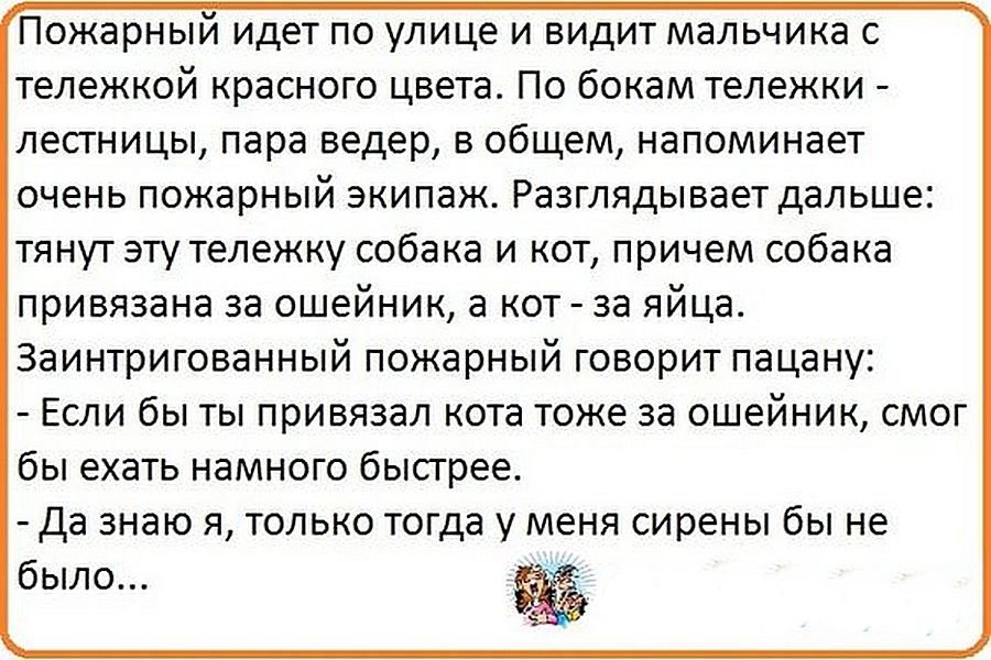 55 Пятничных ФиШуток