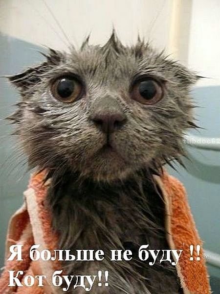 Всё.  Всё ворованное. Но всякому посмотревшему моё СПАСИБО !!