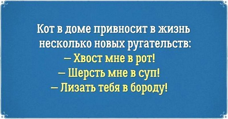 55 Пятничных ФиШуток