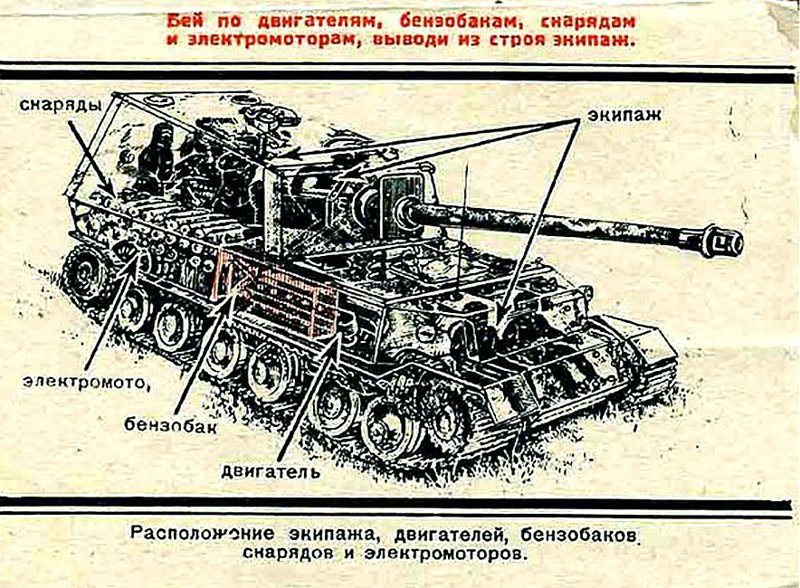 Наука побеждать.. "слонов"